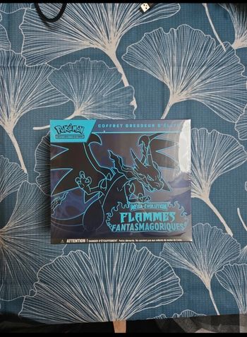 Etb flamme fantasmagorique