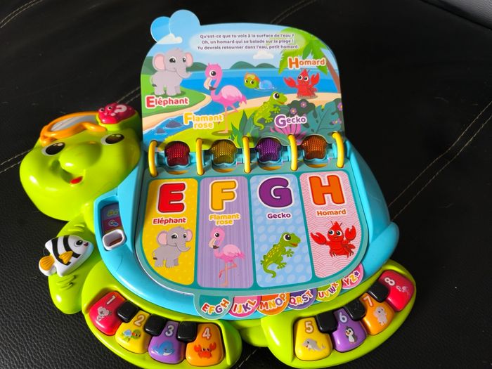 Thaïs la tortue exploratrice - photo numéro 3