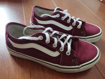 Vans bordeaux