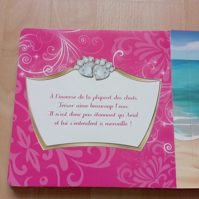 Livre puzzles les princesses 🌹 Hachette 🌹très bon état - photo numéro 8