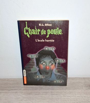 Livre de poche chair de poule l’école hantée