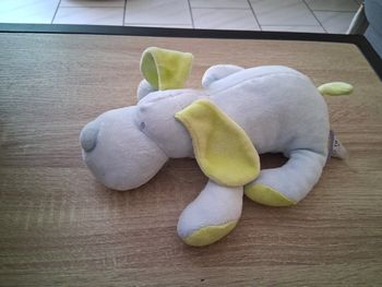 Doudou chien