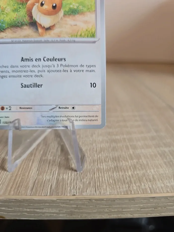 Evoli 133/165 - photo numéro 4