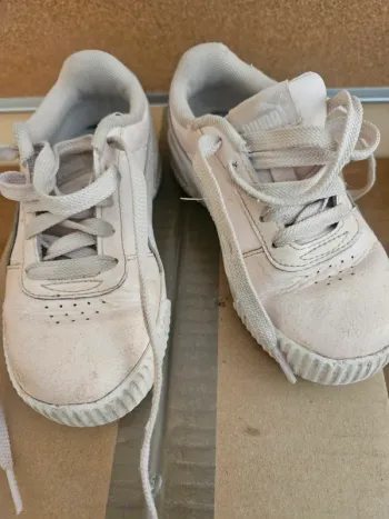 Basket Puma
