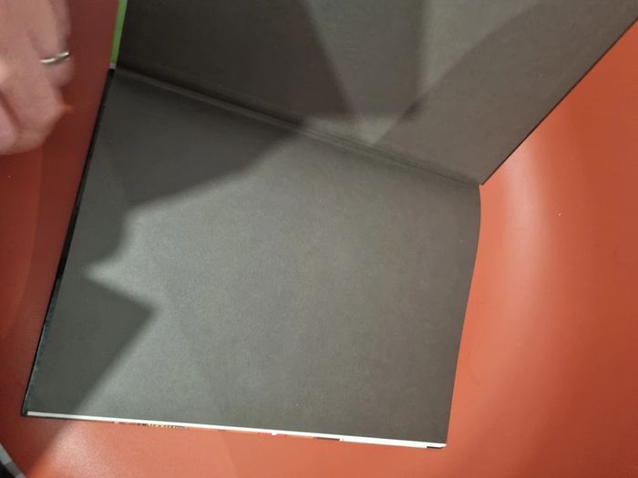 double album I.R.S irs la voie fiscale et la stratégie Hagen - photo numéro 6