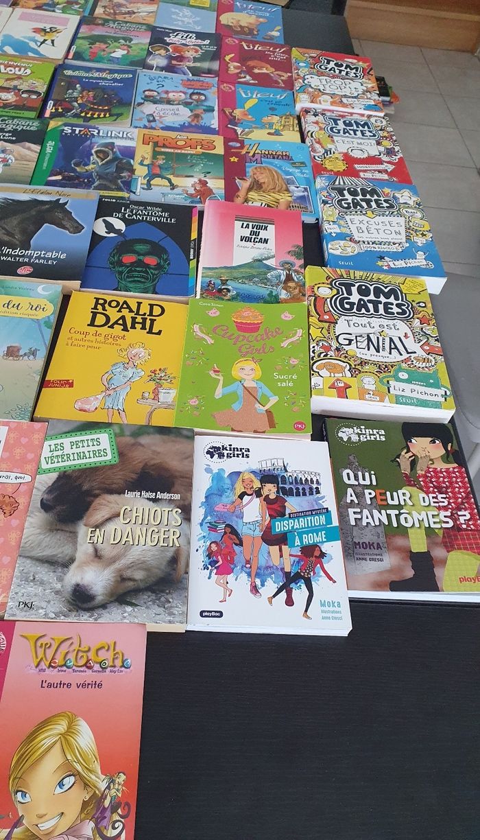 Divers livres pour les 6/12 ans - photo numéro 9