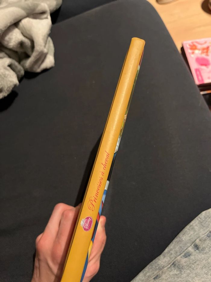 Livre pour enfants Disney princesses à cheval - photo numéro 2