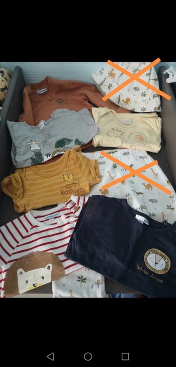 Grand lot jungle 18 mois printemps été