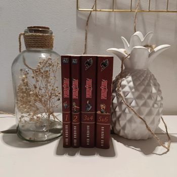 Manga Fairy tail tomes 1 à 6