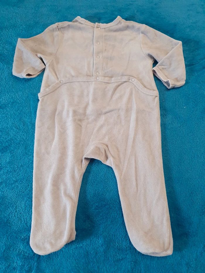 Grenouillère - photo numéro 3