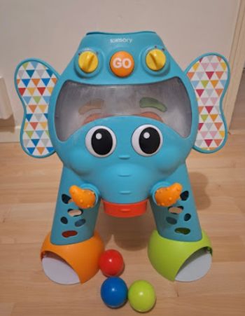 Elephant sensory