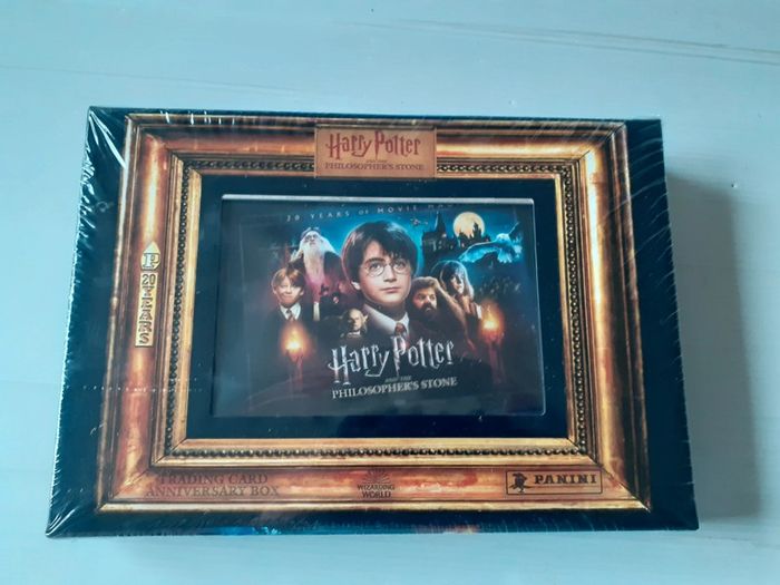 Harry potter panini