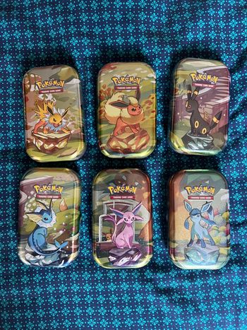 6 mini tins neuves evoli scellées 