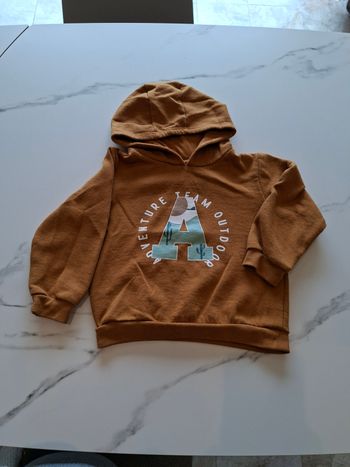 Pull a capuche