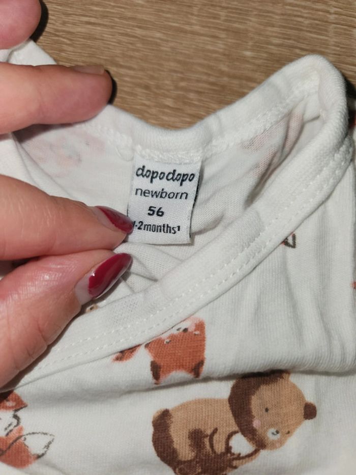 Lots 2 bodies - photo numéro 2