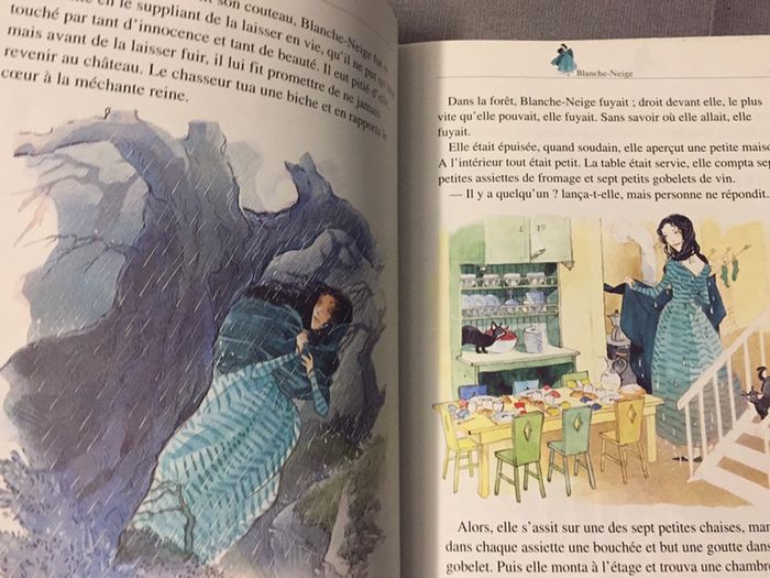 AA17-Blanche neige NEUF - photo numéro 3