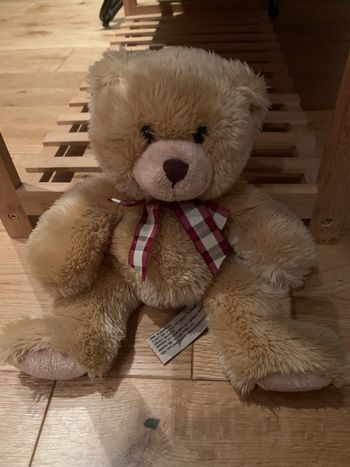Ourson en peluche
