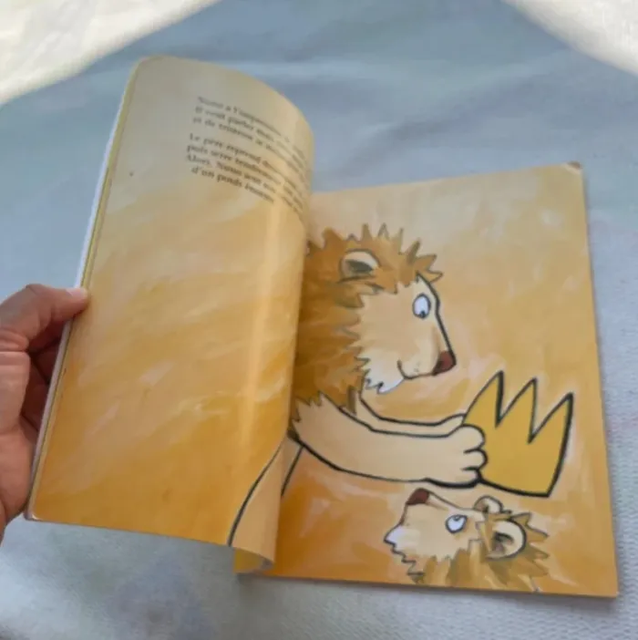 Livre Nuno Petit Roi – Bon état - photo numéro 2