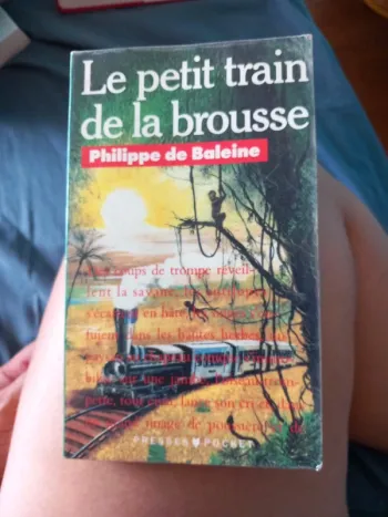 Le petit train de la brousse