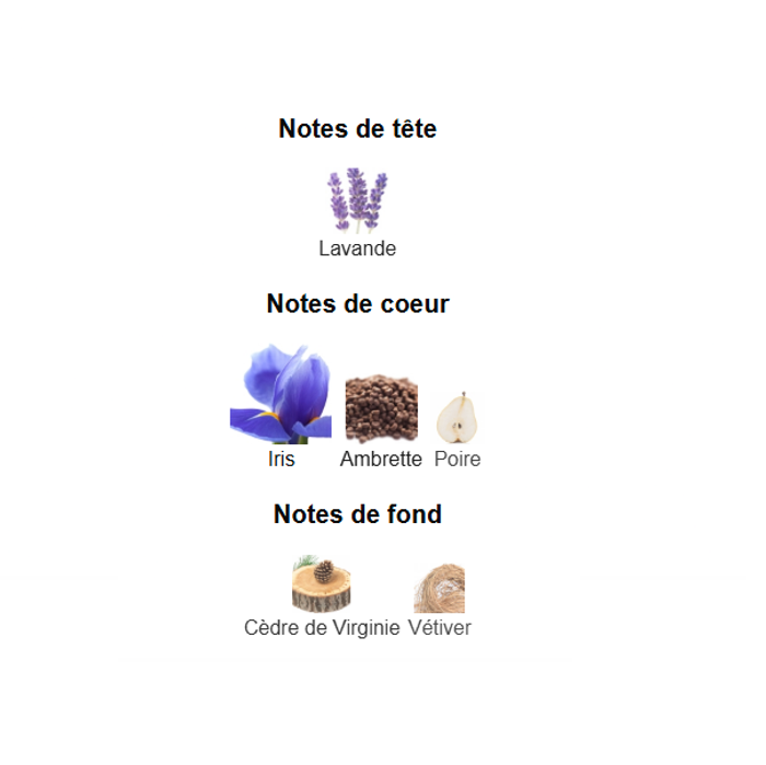 Aura Homme "inspi Dior Homme Intense 2011 " eau de parfum homme 100ml - photo numéro 4