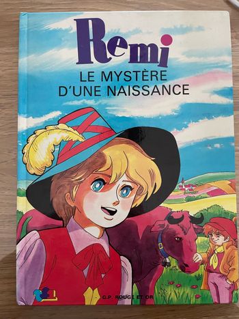 Livre Rémi sans famille
