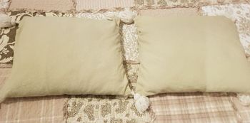 Lot 2 coussins avec housses