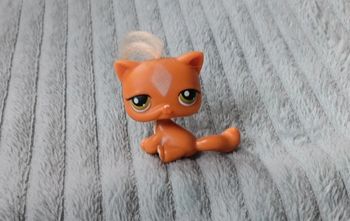 Petshop chat 226