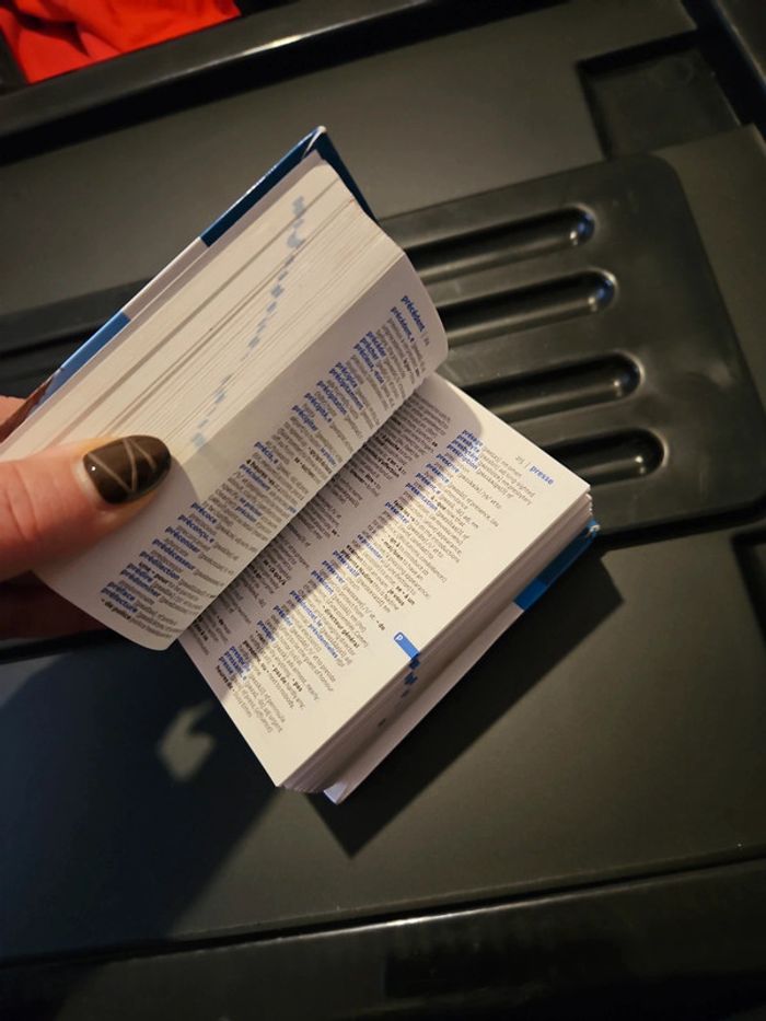 Mini dictionnaire anglais - photo numéro 5