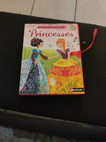 Ma petite bibliothèque princesses