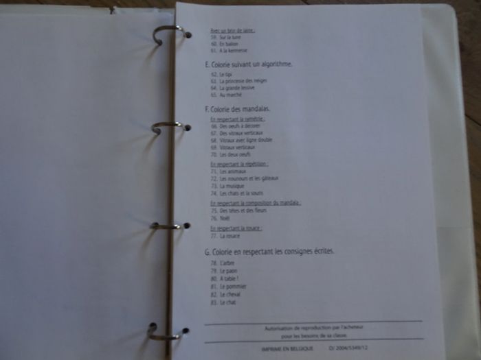 Classeur coloriage progressif 5-8 ans Gai savoir - photo numéro 8