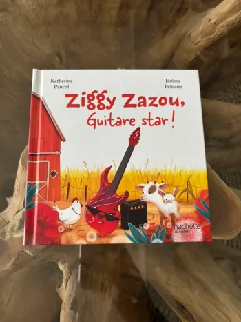 Livre Mcdo en avant la musique guitare star