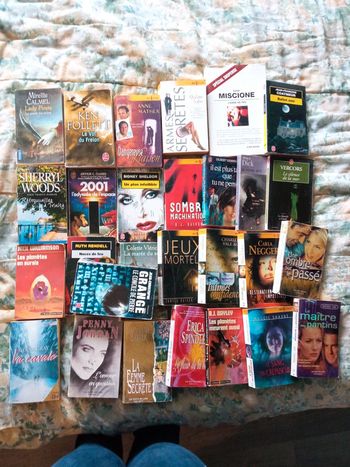 Gros lot de livres