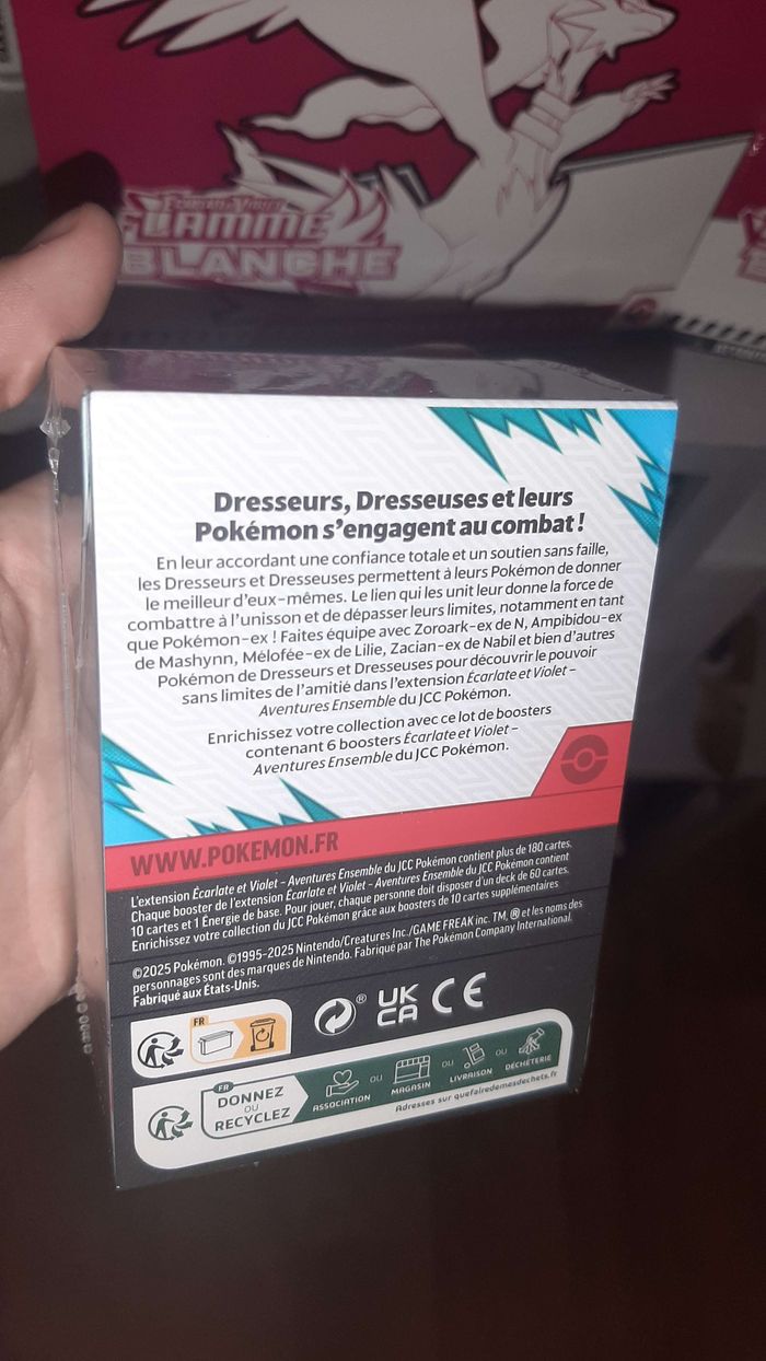 Bundle ev9 - photo numéro 4