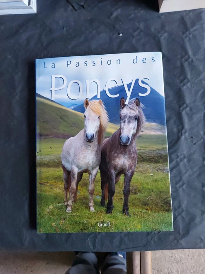 La passion des Poneys