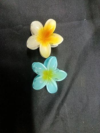 2 grandes pinces fleurs