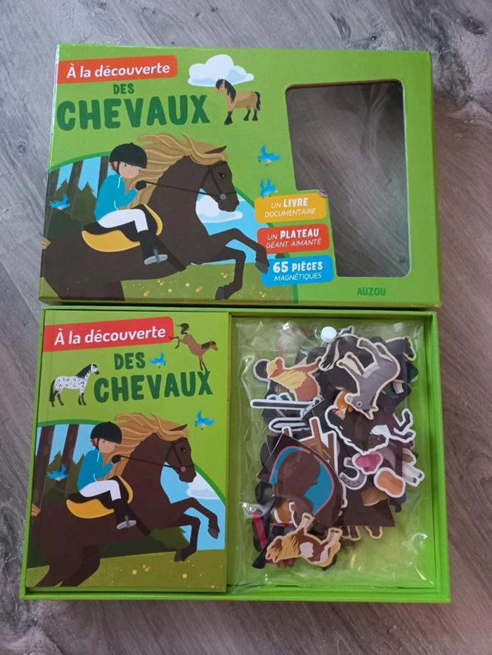 Jeu 'A la découverte des chevaux' - photo numéro 4