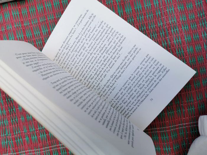 Dévadé, roman de Réjean Ducharme - photo numéro 2