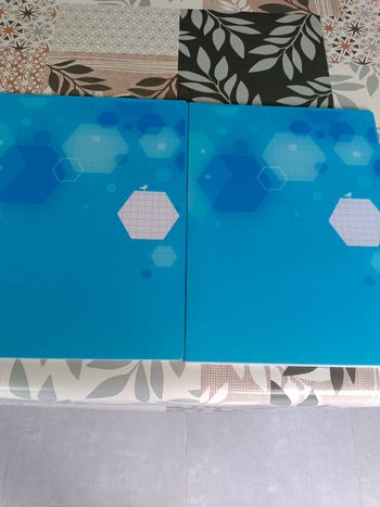 Lot de 2 cahiers 24x32 48 pages