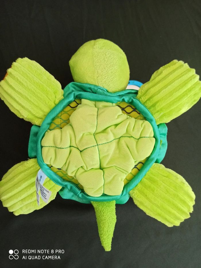 Cache cache Tortue - photo numéro 7