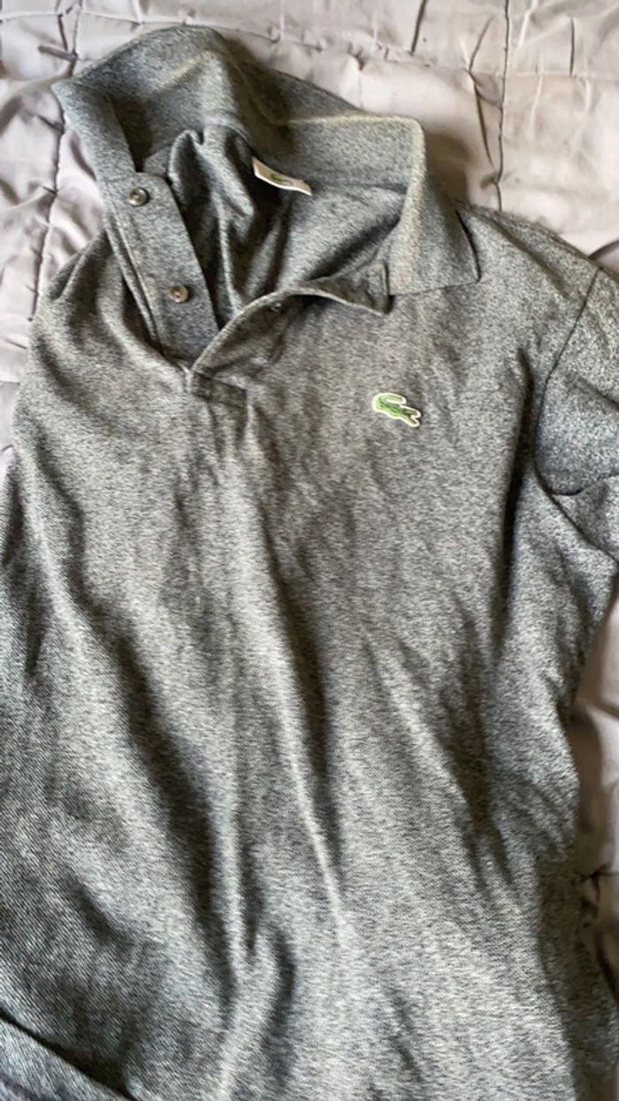 polo Lacoste - photo numéro 5