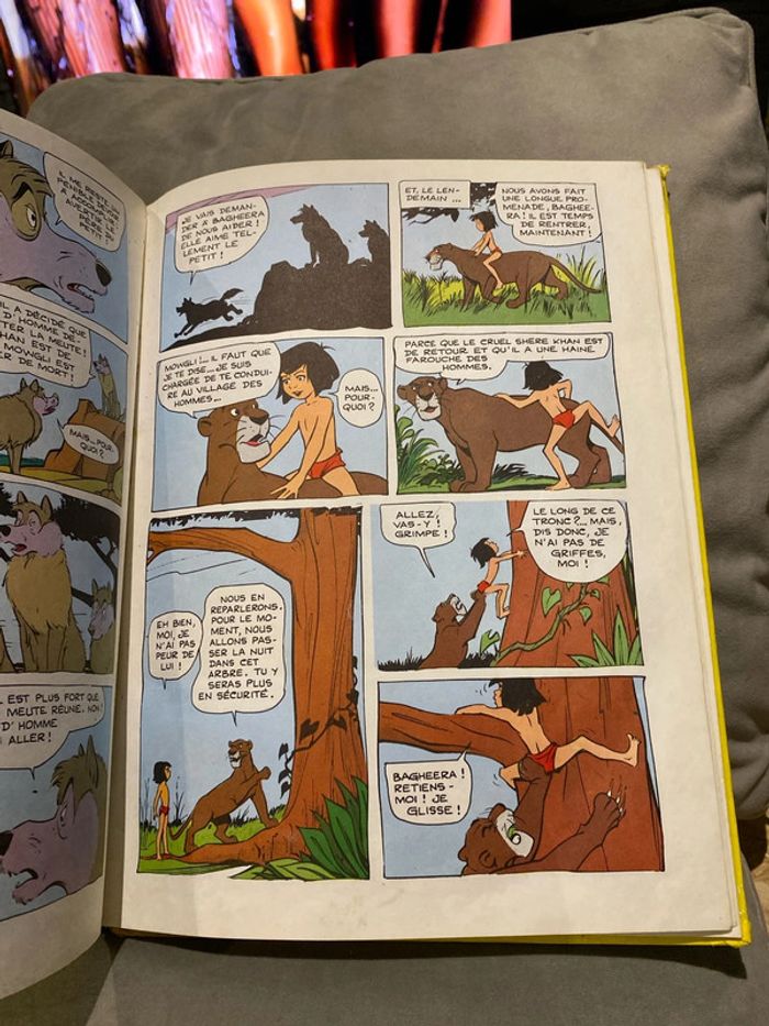 Livre « le livre de la jungle » - photo numéro 8