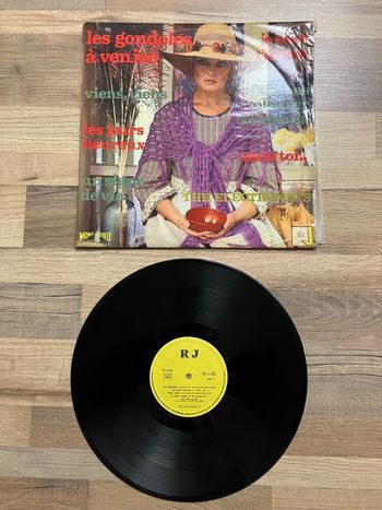 Vinyle 33 tours-The electronic’s-Hot succès