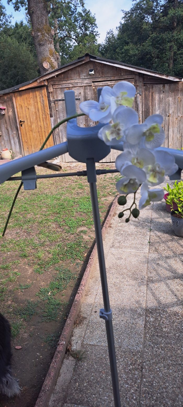 Lot de branche orchidée - photo numéro 3