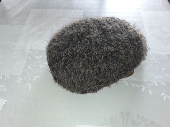 🔵 Peluche Hérisson 🔵 - photo numéro 4