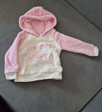 Sweat a capuche