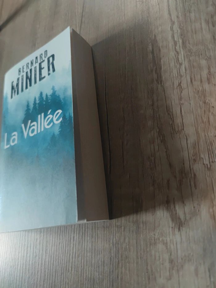 La vallée - photo numéro 3