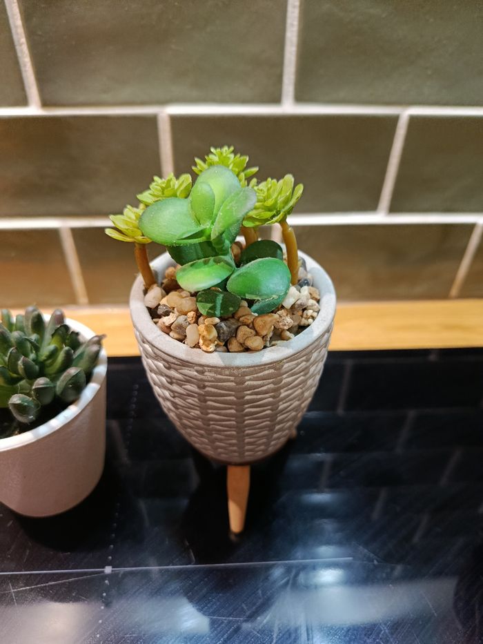 Lot d petites plantes artificielles - photo numéro 2