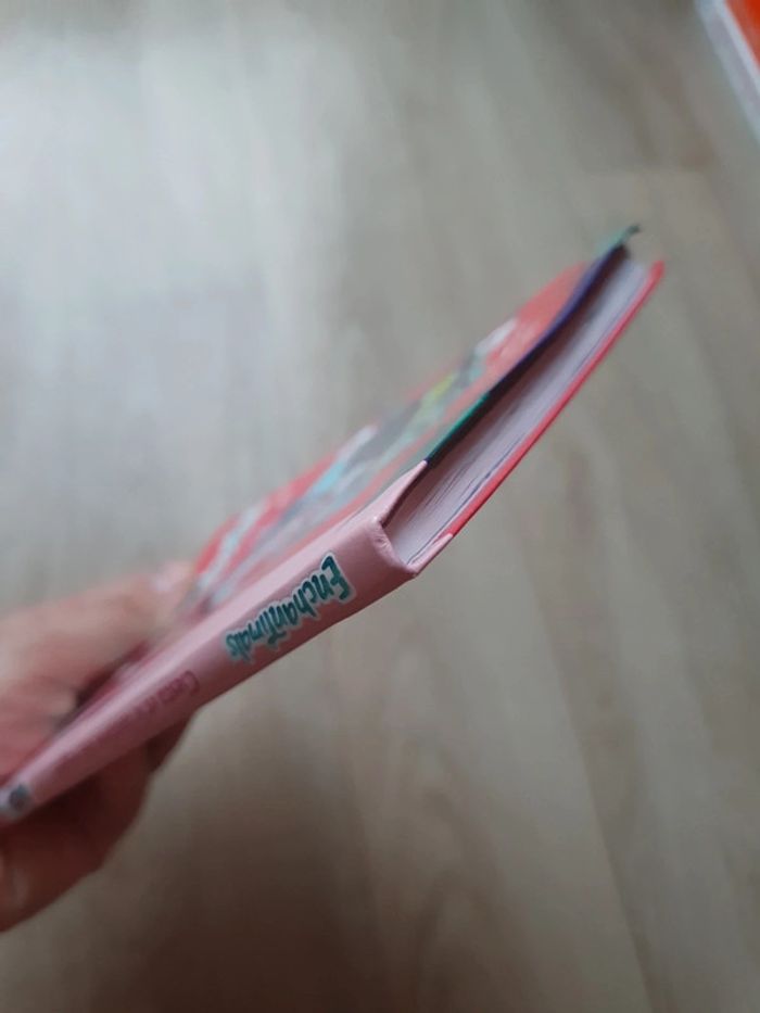 Livre Enchantimals La Bibliothèque Rose - photo numéro 6