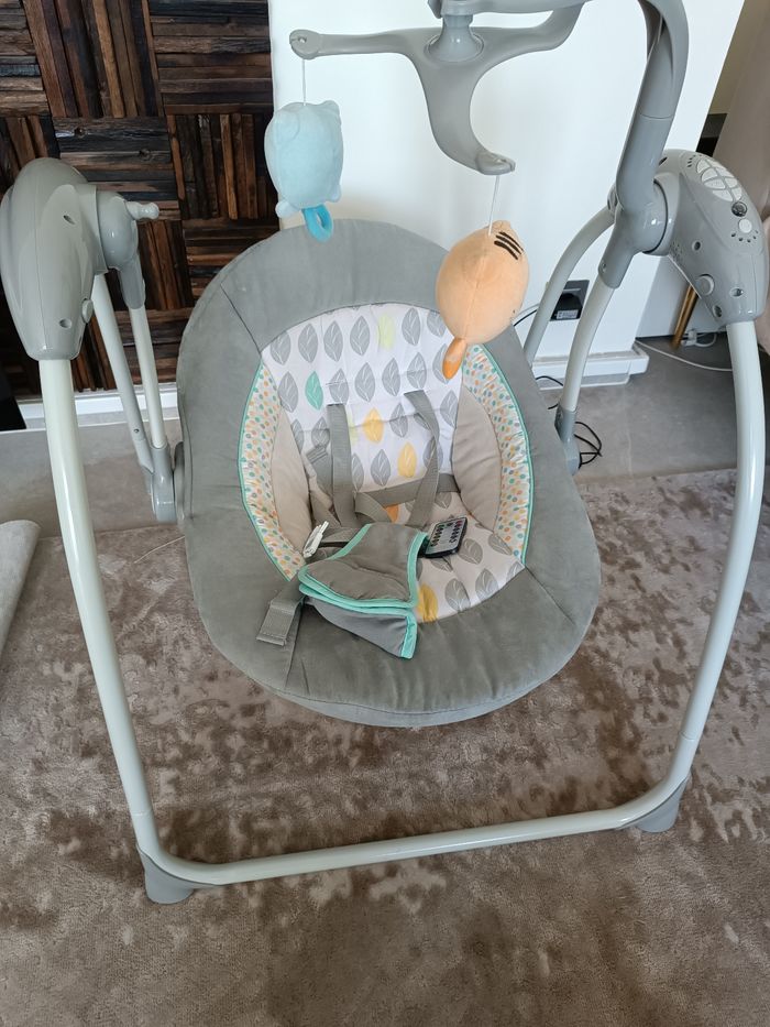 Balançoire électrique - photo numéro 4