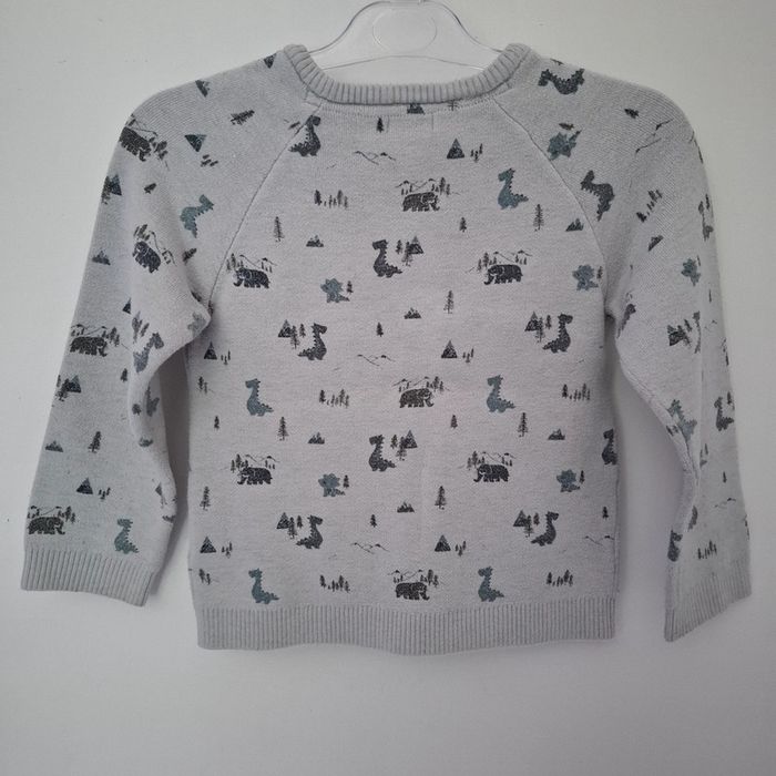 Pull dinosaures 4 ans - photo numéro 3